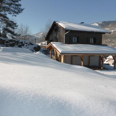 Chalet Le Grand Tetras La Bresse Ngoại thất bức ảnh